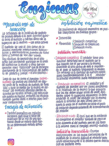 ENZIMAS--Estudiante-de-medicina--Medicina-humana--Apuntes-Universitarios--uDocz.jpg