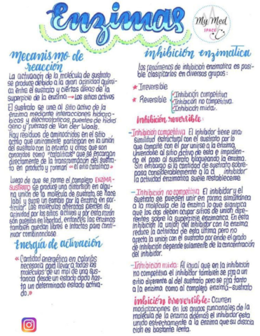 biologiaproteinas.pdf