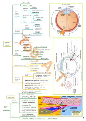 OFTALMOLOGIA-sin-index-wUOLAH.pdf