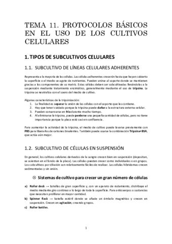 t11resumen.pdf