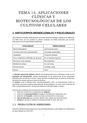 t13resumen.pdf