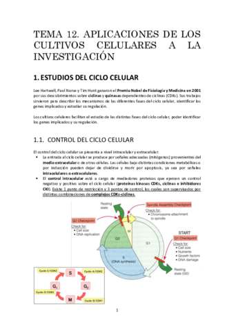 t12resumen.pdf