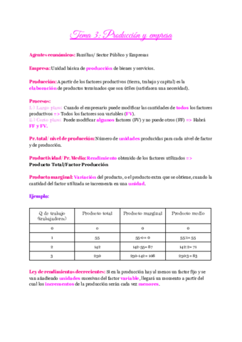 Tema-3-Produccion-y-empresa.pdf