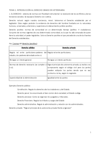 Temario-examen-Cristina.pdf