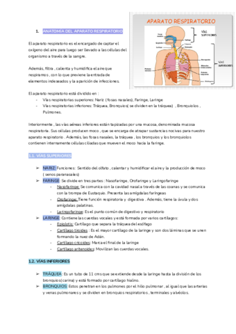 Tema-6-Aparato-respiratorio-.pdf