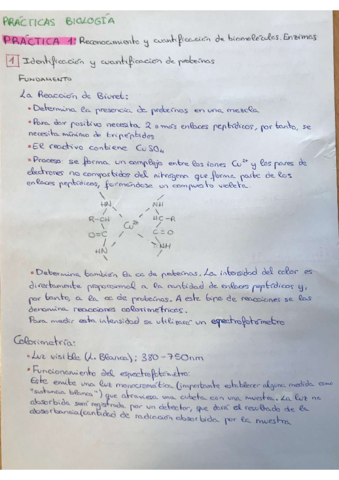 Practicas-Biologia-y-Ejercicios.pdf