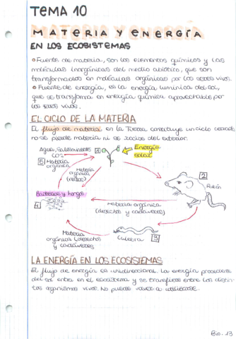 Materia-y-energia-ecosistemas.pdf
