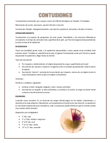 CONTUSIONES.pdf