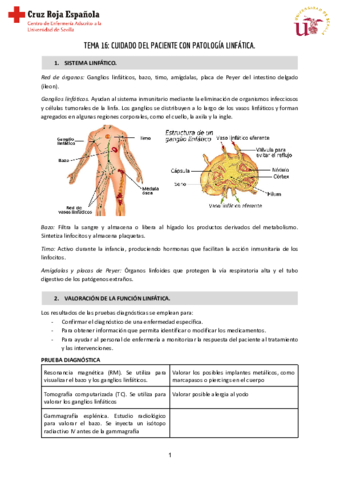 TEMA-16-Clinica-CUIDADO-DEL-PACIENTE-CON-PATOLOGIA-LINFATICA.pdf