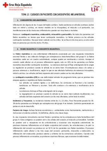 Tema-13-Clinica-I.pdf