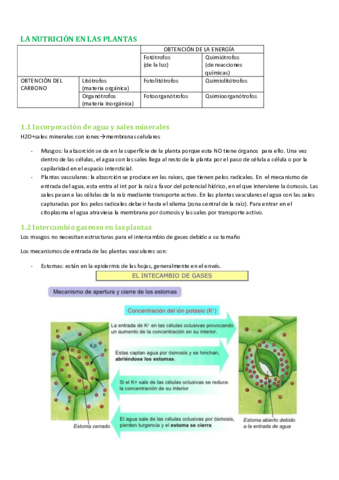 La-nutricion.pdf