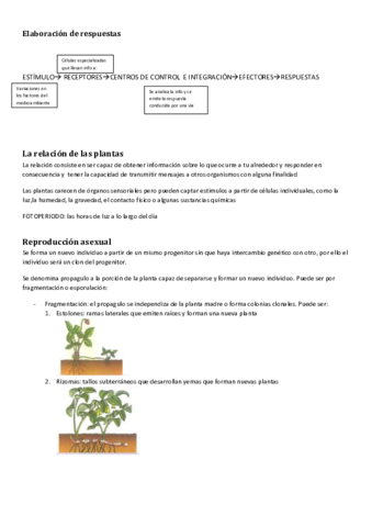 relacion-y-reproduccion-de-las-plantas.pdf