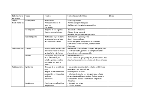 tabla-tejidos-vegetales.pdf