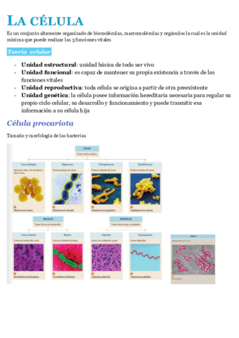 La-celula.pdf