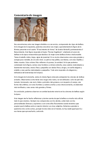 Comentario-de-imagen.pdf