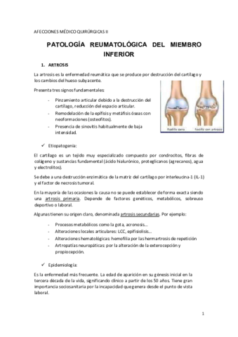 TEMAS-DANI-10-Patologia-Reumatica-MMII.pdf