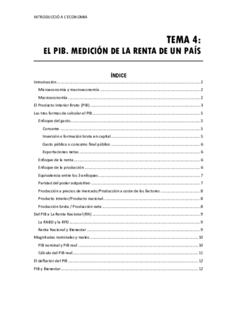 Tema-4PIB.pdf