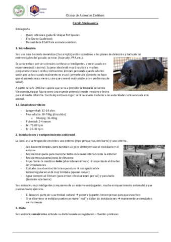 CerdoVietnamita.pdf