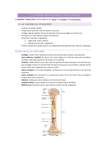 Tema-3-El-Aparato-Locomotor.pdf