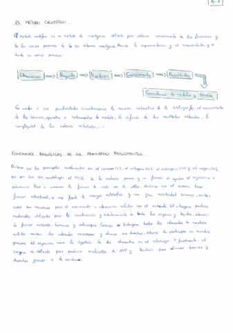 Fichas-bloque-1-evau.pdf