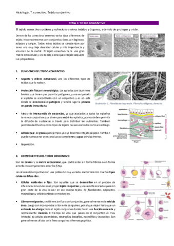 Tema-2.pdf