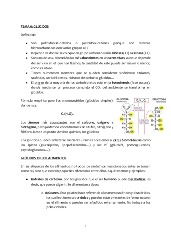 Tema-6-glucidos.pdf