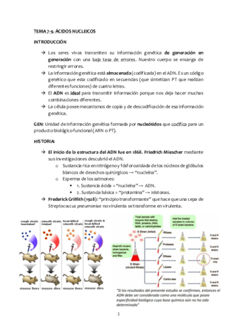 Tema-7-9-acidos-nucleicos.pdf