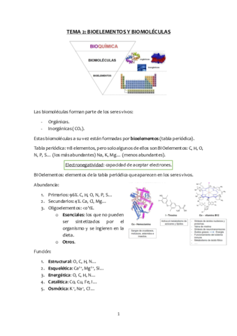 Tema-2-bioelementos-y-biomoleculas.pdf