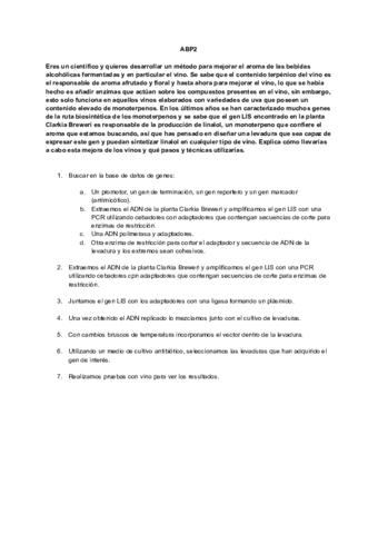 ABP2.pdf