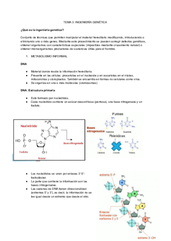 TEMA-3-INGENIERIA-GENETICA.pdf