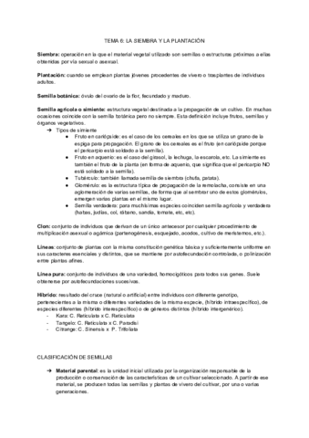 TEMA-6-LA-SIEMBRA-Y-LA-PLANTACION.pdf