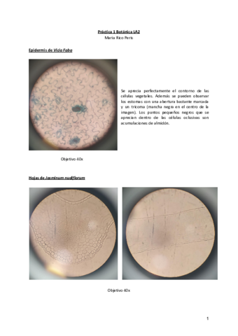 Practica-1-Botanica-LA2-1.pdf