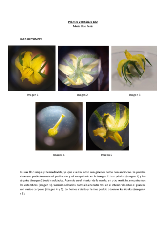 Practica-2-Botanica-LA2-1.pdf