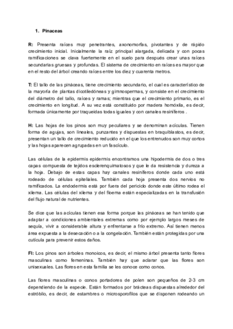 Examen-familias-1.pdf
