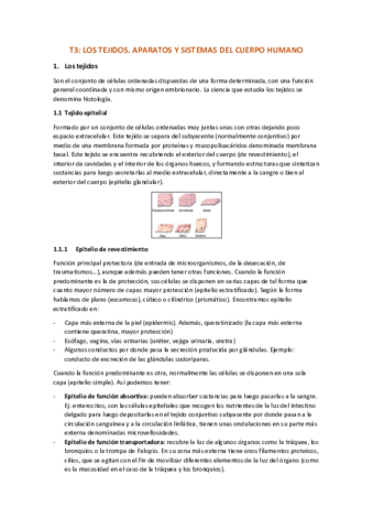 T3-LOS-TEJIDOS.pdf