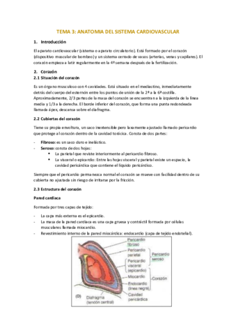 Tema-3-Anatomia-Ap.pdf