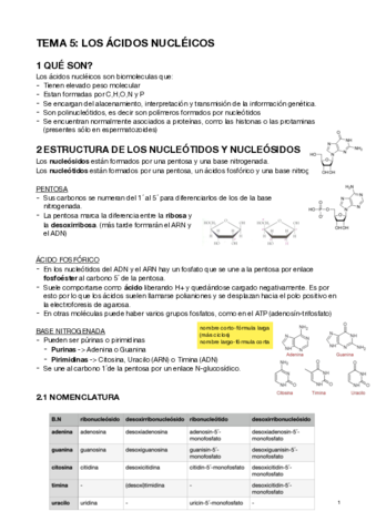 ACIDOS-NUCLEICOS.pdf