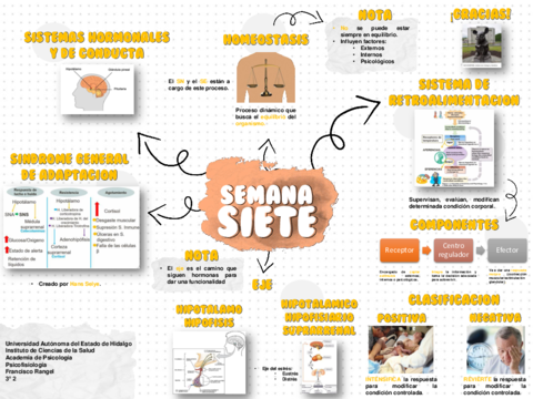 Mapa-7-Sistemas-Hormonales-y-de-Conducta.pdf