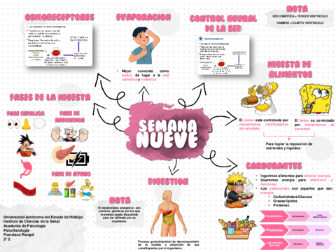 Mapa-9-Ingesta-de-alimentos.pdf