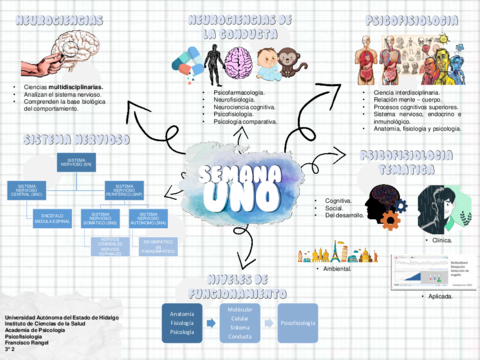 Mapa-1-Introduccion-a-la-Psicofisiologia.pdf