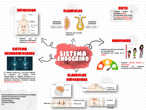 Mapa-6-Sistema-Endocrino.pdf