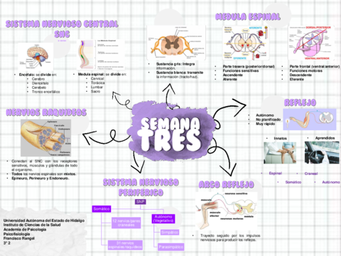Mapa-3-SNC-y-SNP.pdf