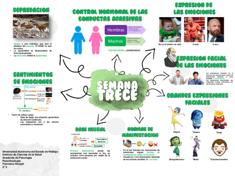 Mapa-13-Emocion.pdf