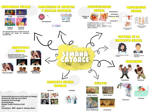 Mapa-14-Desarrollo-Sexual.pdf