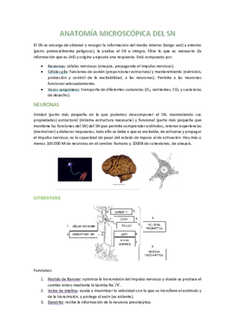 apuntes-t2-neuro.pdf