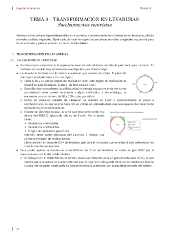 U4-T3.pdf