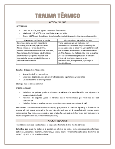 Trauma-termico.pdf