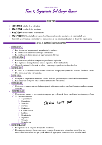 TEMA-1.pdf