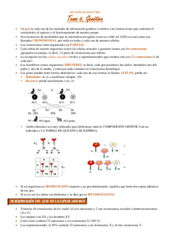 TEMA-6.pdf