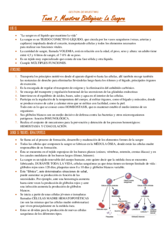 TEMA-7.pdf